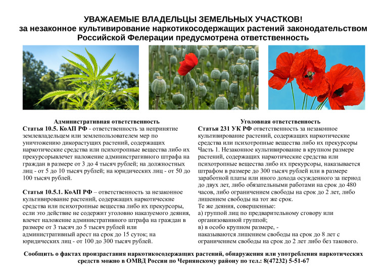 Памятка. Памятка.